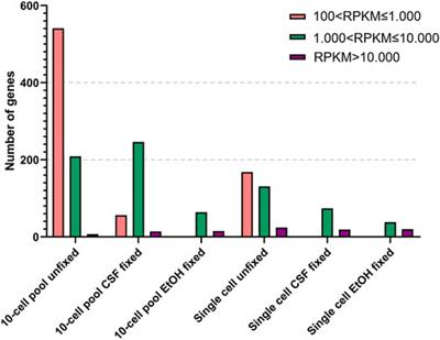 From phenotypical investigation to RNA-sequencing for gene expression analysis: A workflow for single and pooled rare cells